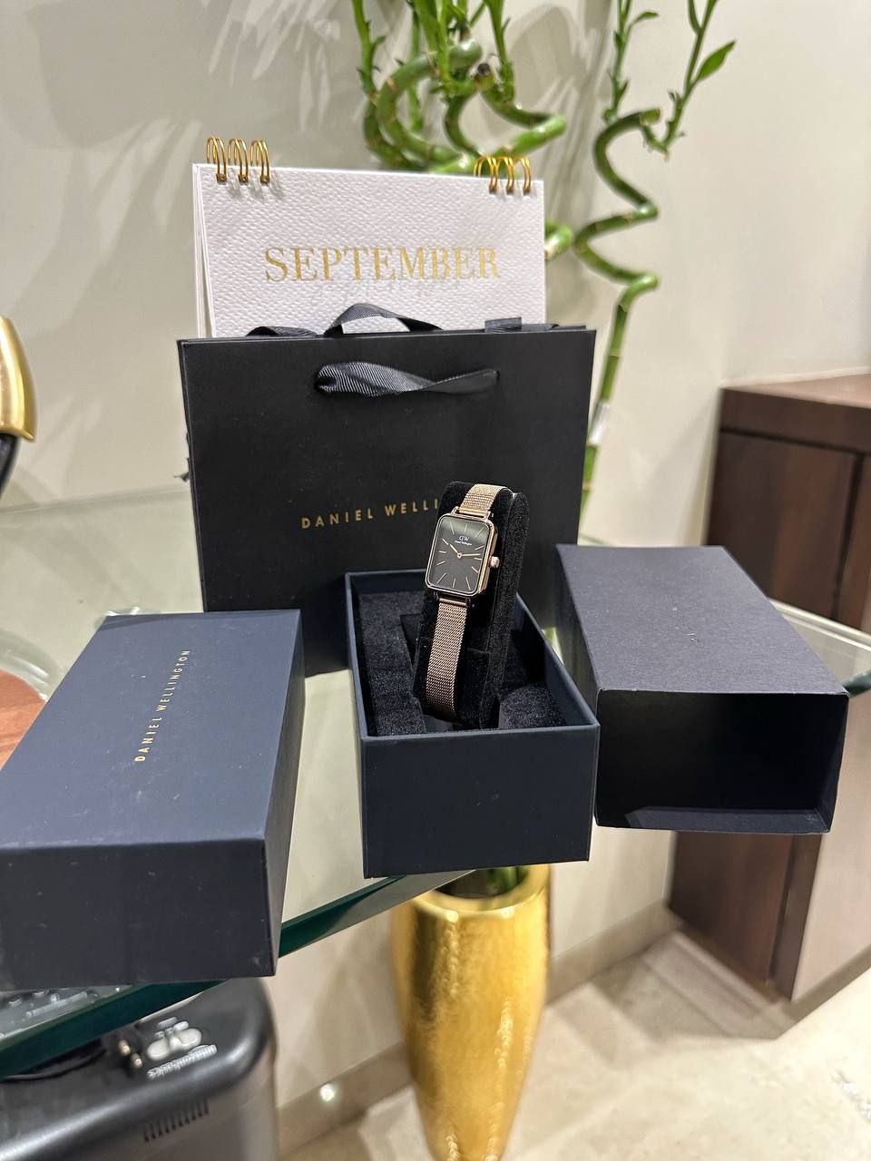 Buy Daniel Wellington Classic Petite 32mm Women's Watch - Elegant & Slim Design